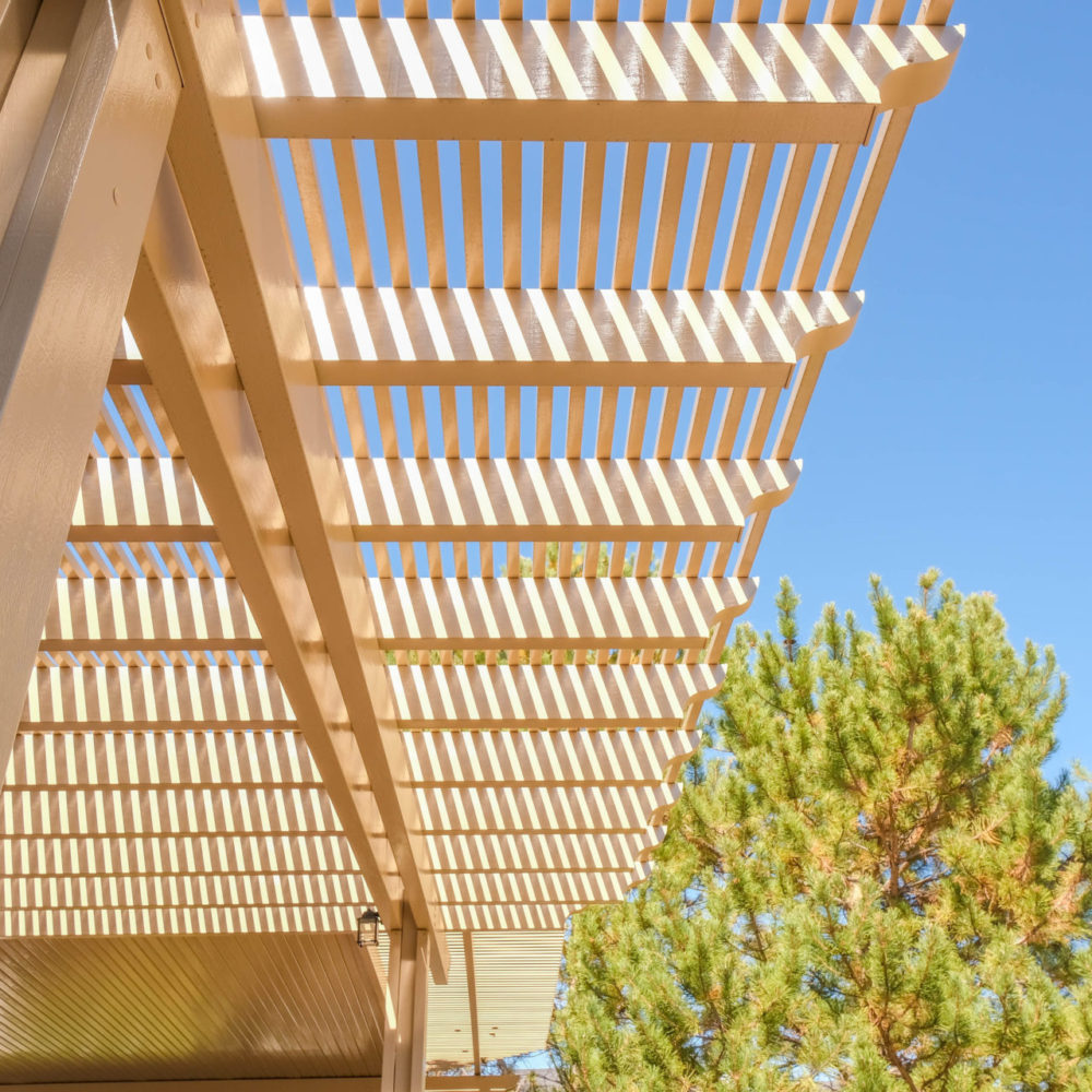 Close-up of lattice beams against tree canopy and open sky